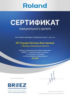 Roland RD-WZ09HSS/N1